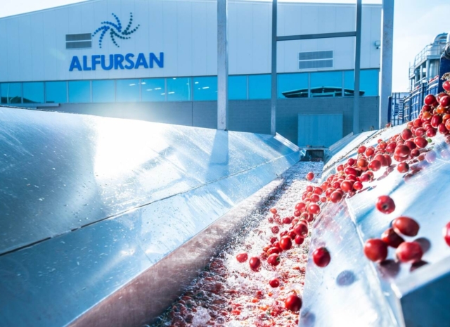 Top Bulk Tomato Paste Supplier in Egypt – FSSC Certified Aseptic Tomato Paste