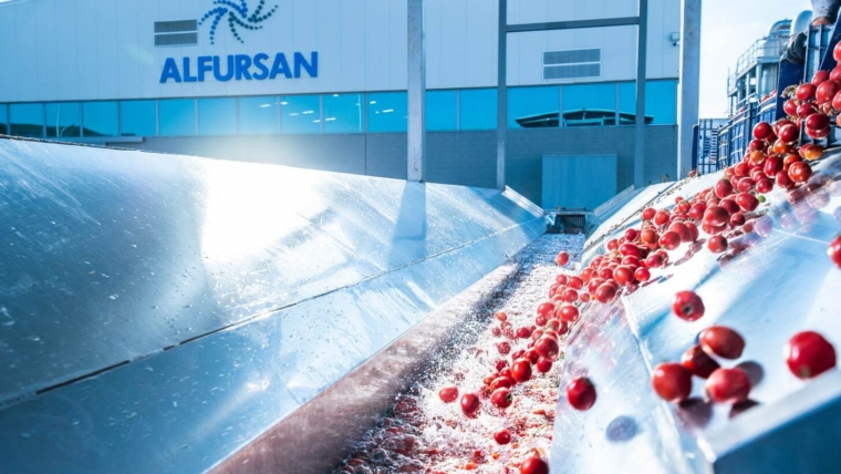 Top Bulk Tomato Paste Supplier in Egypt – FSSC Certified Aseptic Tomato Paste