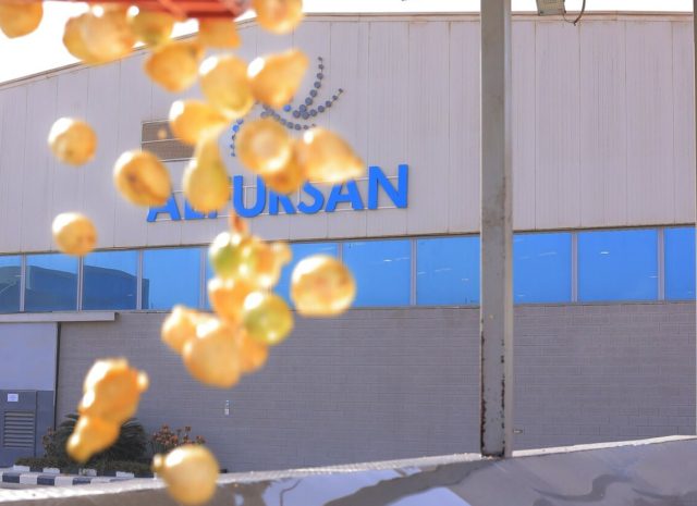 Egyptian Aseptic Guava Puree for Export – Certified Supplier | Al Fursan