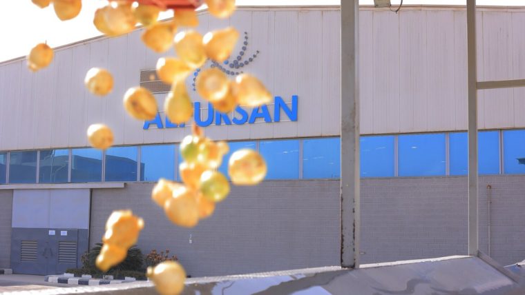 Egyptian Aseptic Guava Puree for Export – Certified Supplier | Al Fursan