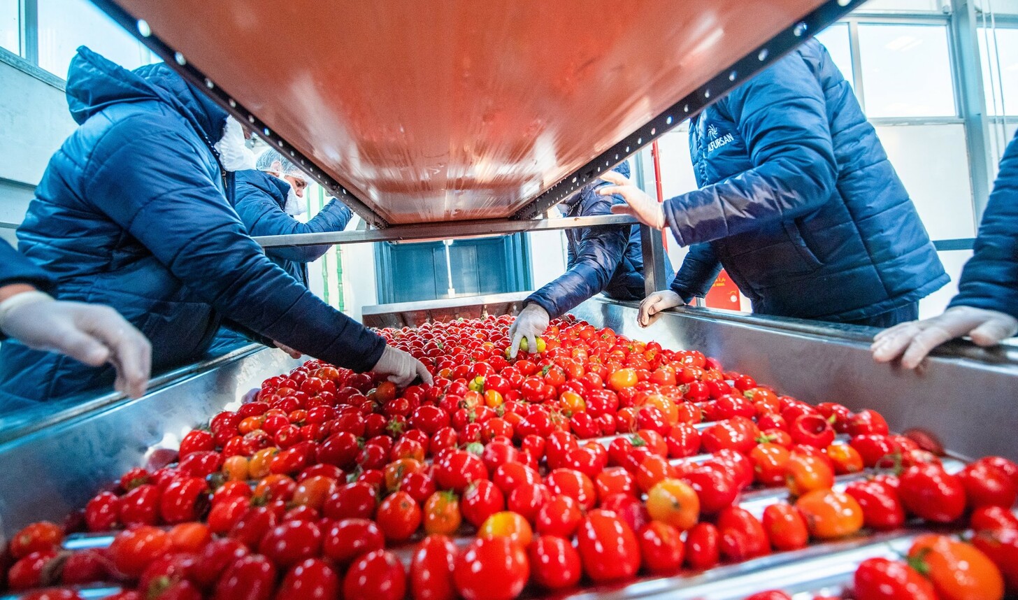 CB High Brix Tomato Paste Exporters in Egypt – Cold Break Aseptic Drums ...
