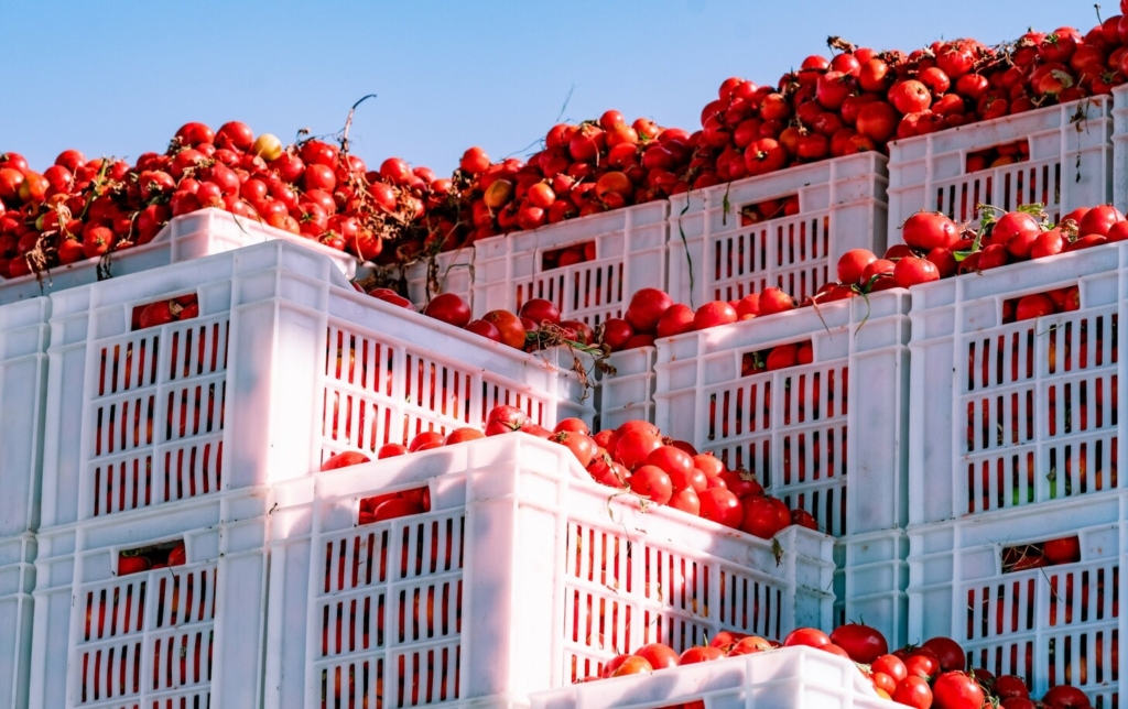 Al Fursan's Expertise in Bulk Tomato Paste Export
