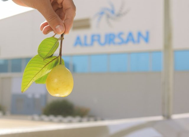 High-Quality Guava Puree Exporter from Egypt | Al Fursan