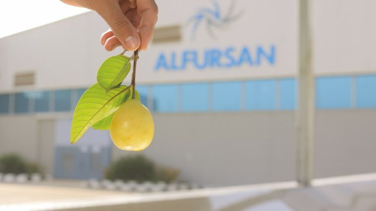 High-Quality Guava Puree Exporter from Egypt | Al Fursan