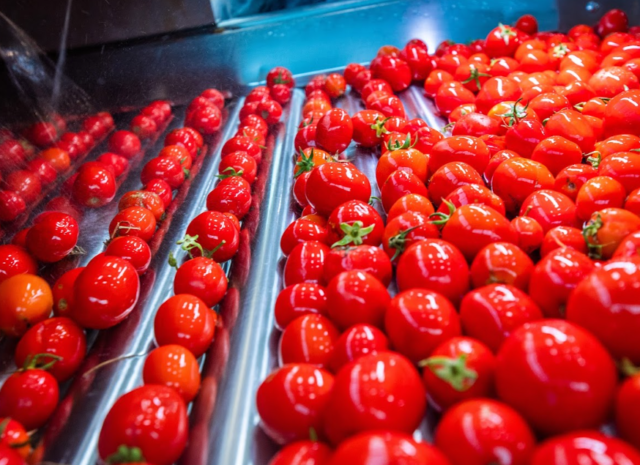 Premium Tomato Paste Supplier CB (28-30) A230  KG – معجون طماطم