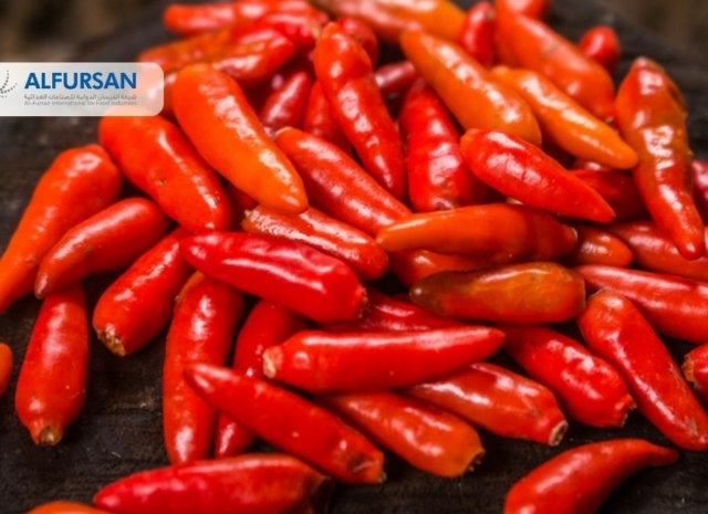 Chilli Paste Exporter from Egypt | Al Fursan International