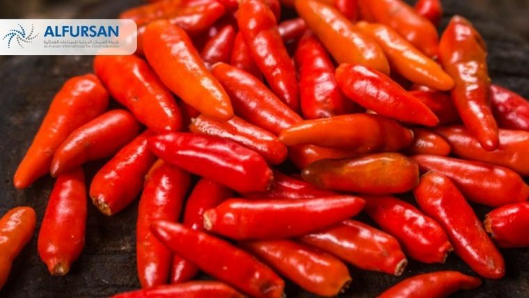 Chilli Paste Exporter from Egypt | Al Fursan International