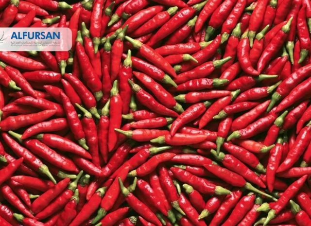 Trusted Hot Chilli Paste Concentrate Supplier from Egypt