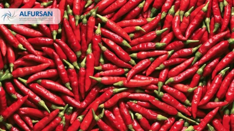 Trusted Hot Chilli Paste Concentrate Supplier from Egypt