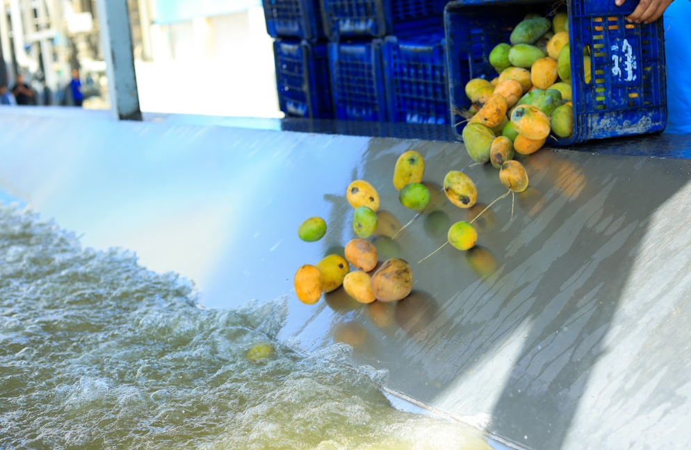 Screenshot 1 Egyptian Mango Puree