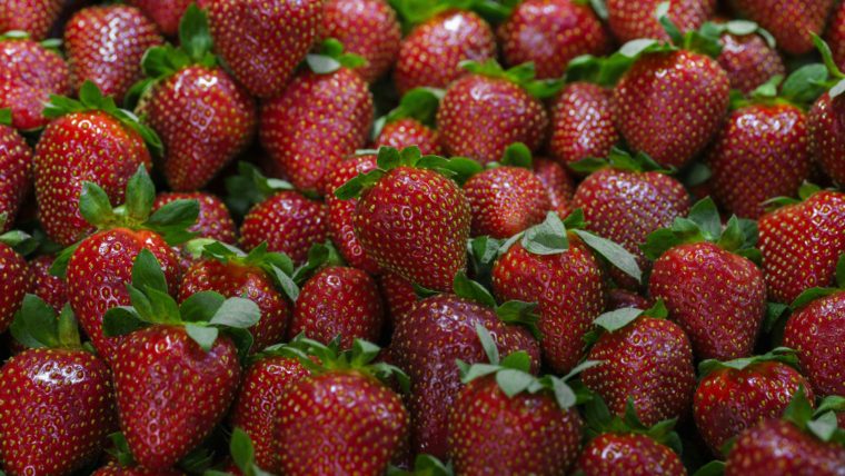 Egypt Aseptic Strawberry Puree Manufacturer & Exporter | Al Fursan