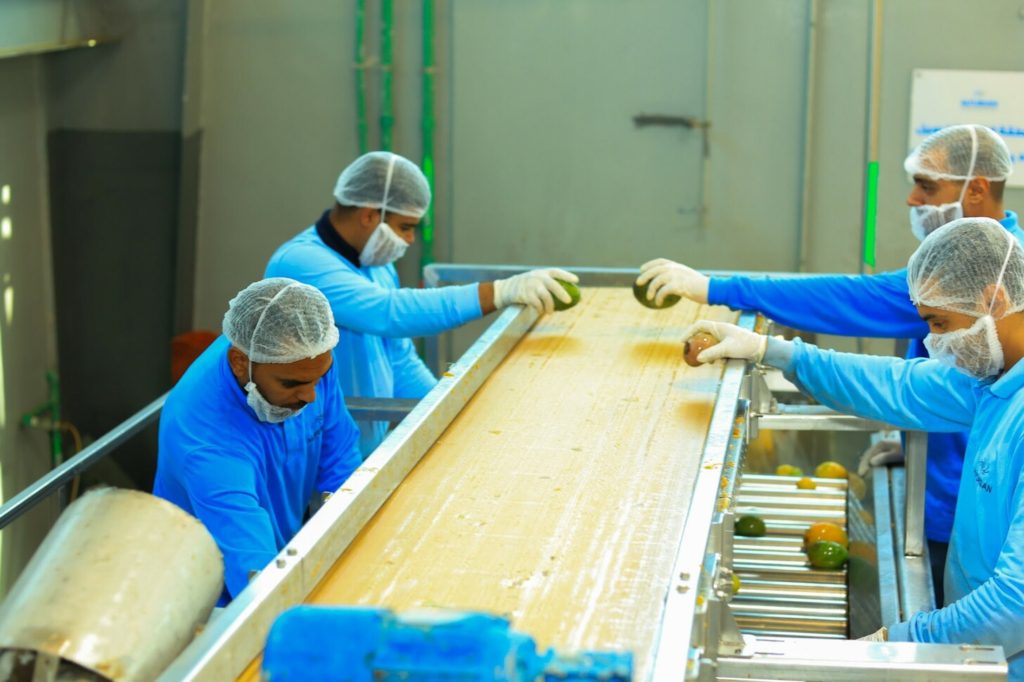 Aseptic Mango Puree Supplier