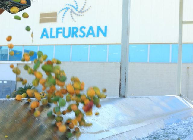 Unlock the Power of Egyptian Bulk Mango Pulp for Your Business