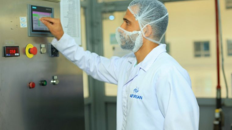 bulk mango pulp Egypt: Pure, Aseptic, and Ready for Industrial Processing