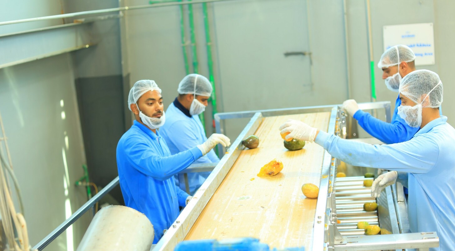 image 29 Aseptic Mango Puree Supplier in Egypt