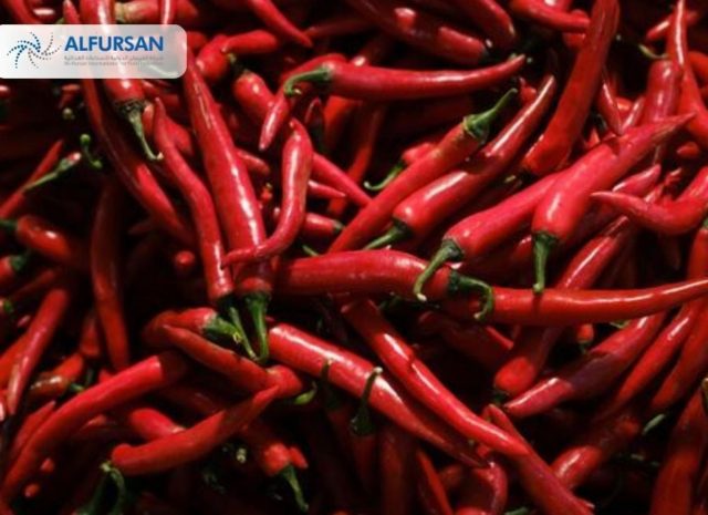 Elevate Your Food Products with a Certified Chilli Concentrate Supplier