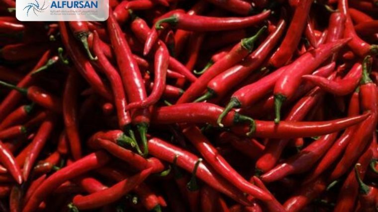 Elevate Your Food Products with a Certified Chilli Concentrate Supplier