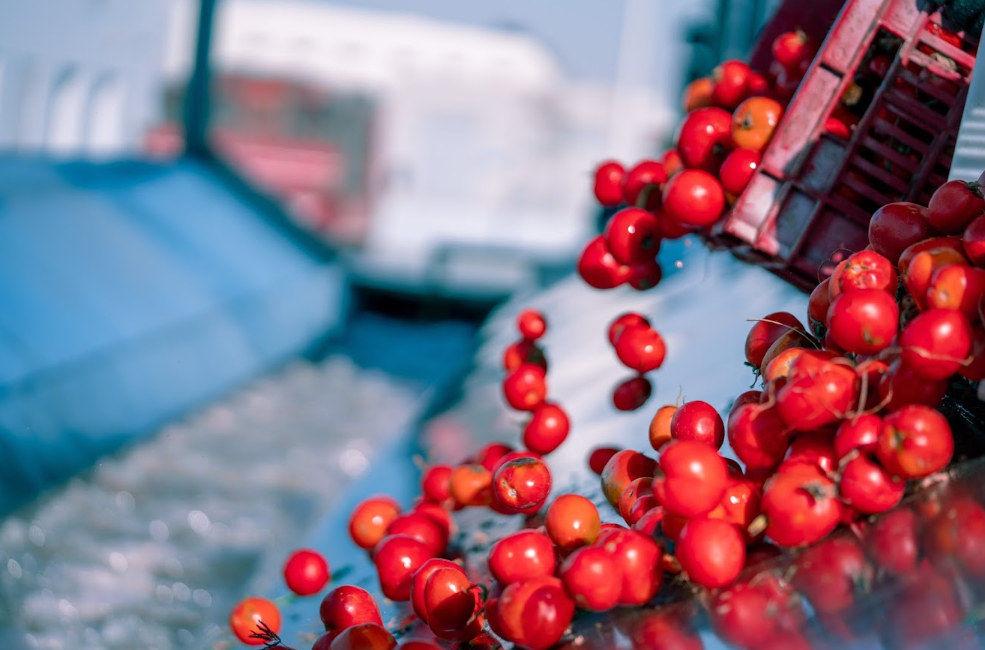 Aseptic tomato paste packaging ensuring freshness and extended shelf life for export