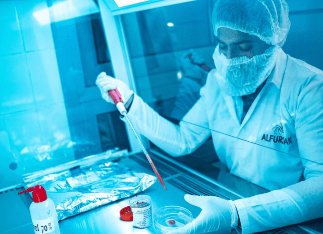 Beyond Tomato: Al Fursan’s Industrial Fruit Purees for Beverage & Food Manufacturers