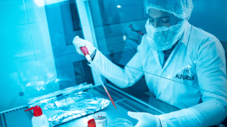 Beyond Tomato: Al Fursan’s Industrial Fruit Purees for Beverage & Food Manufacturers