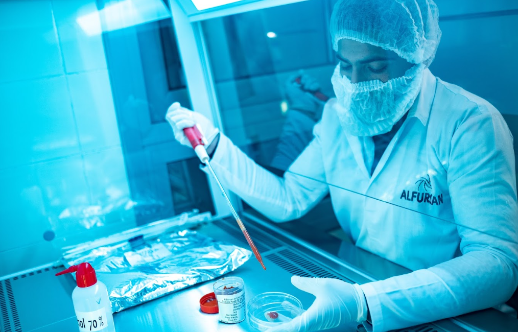 fruit purees for industrial use