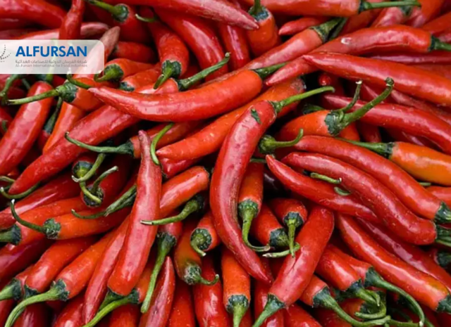 Understanding Hot Chili Puree Specifications for Industrial Food Applications