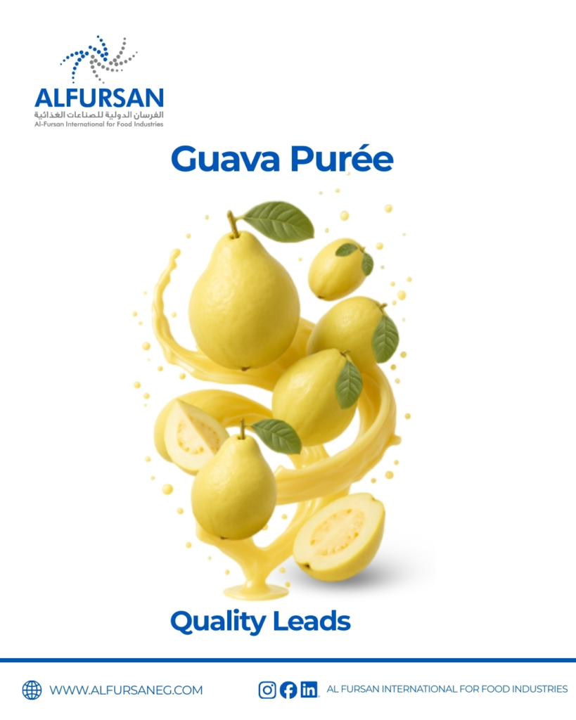 Aseptic guava puree manufacturer – fresh yellow guava fruits with guava puree splash by Al Fursan International for Food Industries