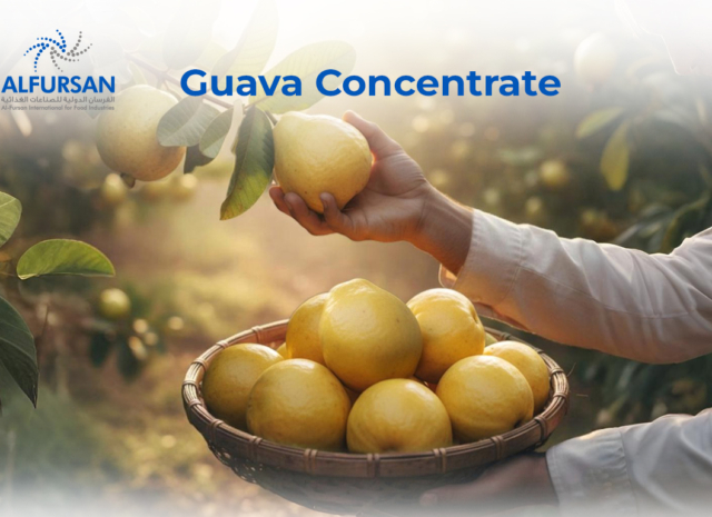 Premium Guava Concentrate Supplier A220 KG Brix 14/16