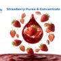Strawberry Concentrate Manufacturer – Seedless A200 KG Brix Min 21%