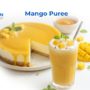Egypt’s Premier Mango Puree Manufacturer