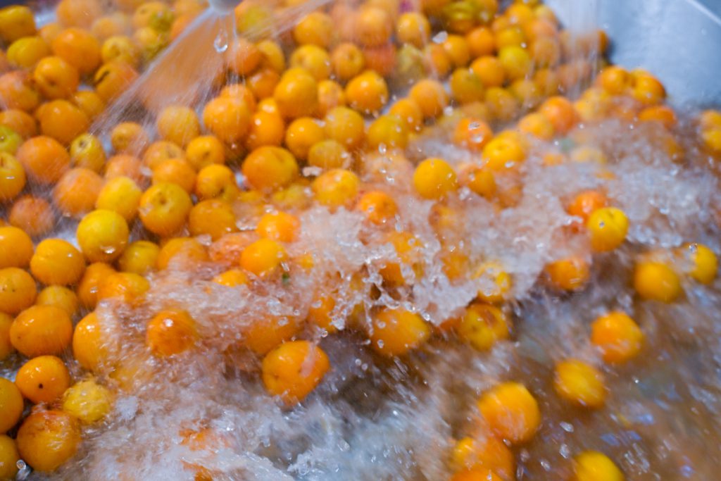 Fresh apricots being thoroughly washed and cleaned during the fruit processing stage at Al Fursan International for Food Industries before premium apricot puree production.