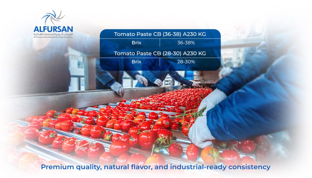 Premium tomato paste manufacturing line in Egypt with fresh tomatoes being sorted and processed at Al Fursan International for Food Industries, producing 28-30% and 36-38% Brix tomato paste.