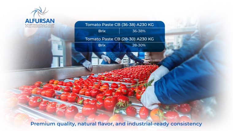 Buy Premium Tomato Paste from Egypt | Trusted Tomato Paste Manufacturer in Egypt