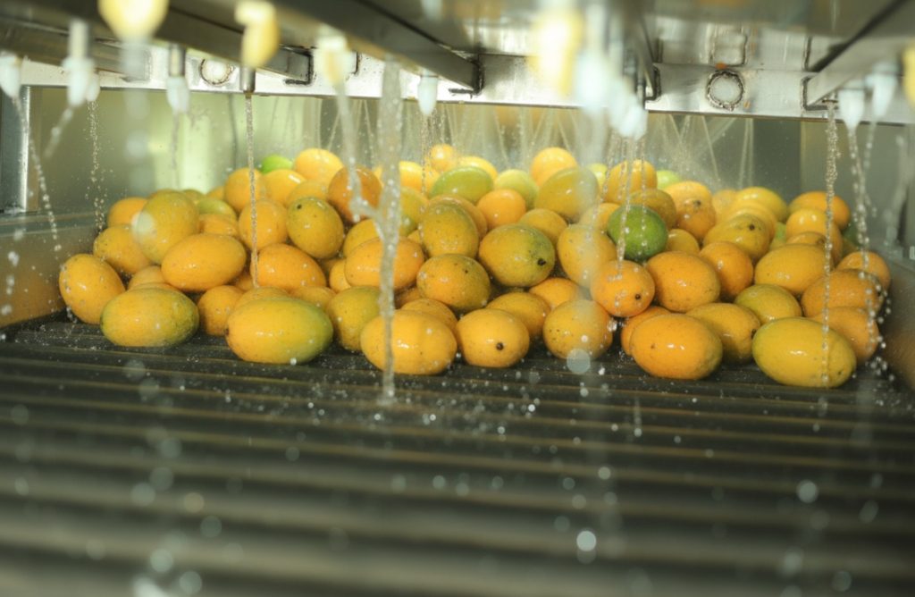 Mango