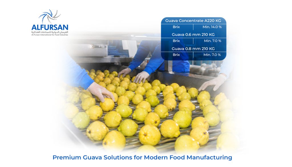 Guava concentrate manufacturer in Egypt sorting fresh guava fruit by hand on a stainless steel production line Caption: Fresh guavas hand-sorted at Al Fursan before processing into concentrate and puree.